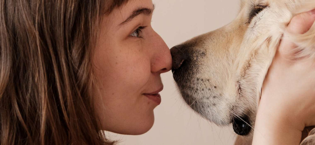 The Power of Connection: Building a Lasting Bond with Your Dog