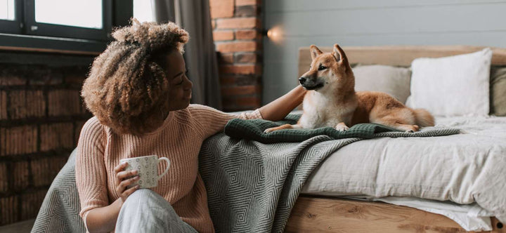 Creating a Calm Home: How to Keep Your Dog Relaxed and Happy