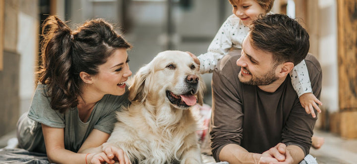 Creating Happy Homes: How to Build a Strong Bond with Your Pet